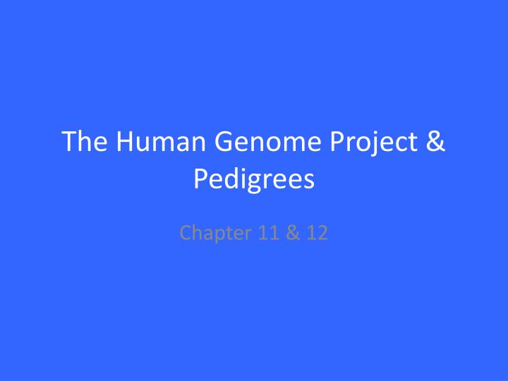 the human genome project pedigrees