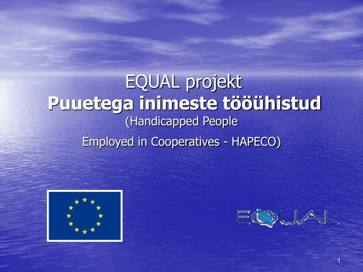 equal projekt puuetega inimeste t histud handicapped people employed in cooperatives hapeco