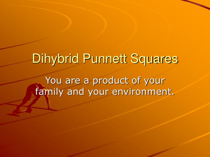 dihybrid punnett squares