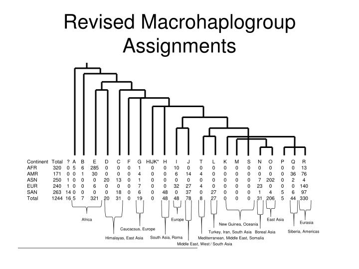 revised macrohaplogroup assignments