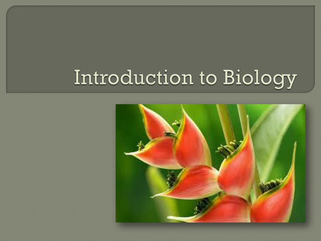 PPT - Introduction to Biology PowerPoint Presentation, free download ...