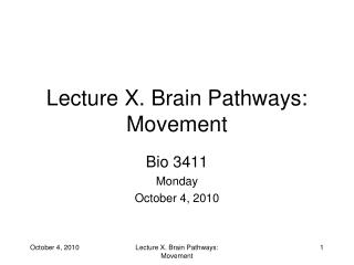 Lecture X. Brain Pathways: Movement