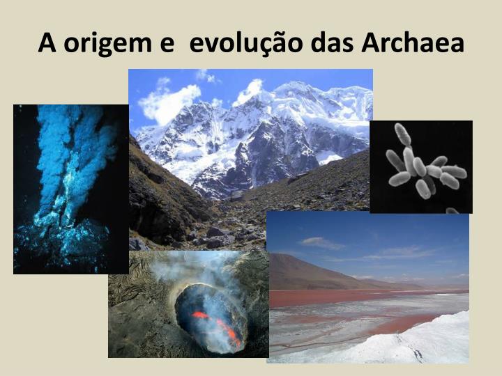 a origem e evolu o das archaea