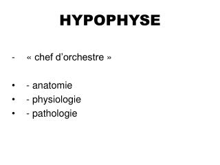 hypophyse