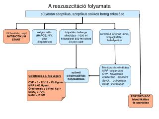 a reszuszcit ci folyamata