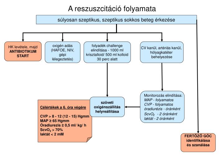 a reszuszcit ci folyamata