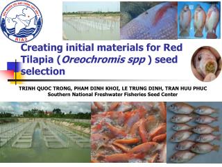 Creating initial materials for Red Tilapia ( Oreochromis spp ) seed selection