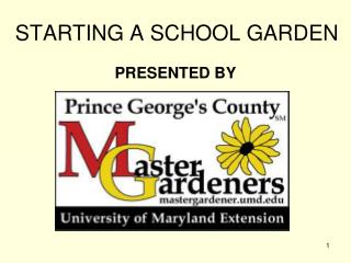 STARTING A SCHOOL GARDEN