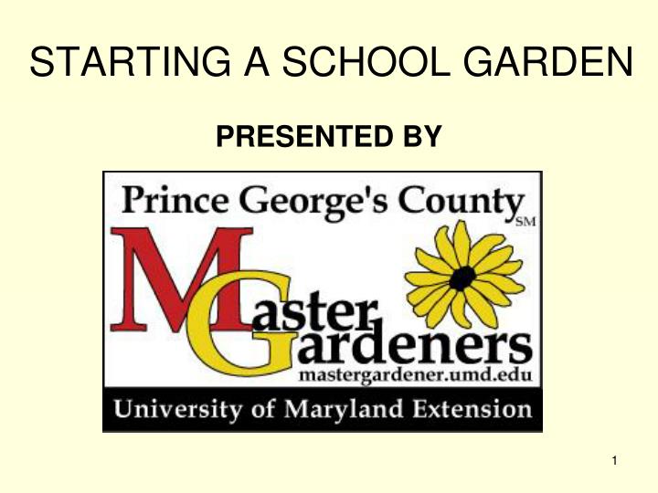 starting a school garden