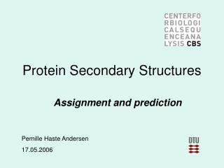 Protein Secondary Structures