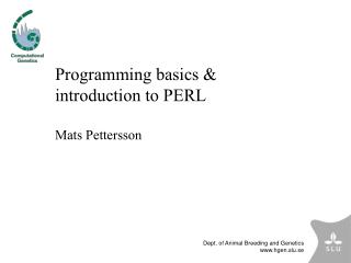 Programming basics &amp; introduction to PERL Mats Pettersson