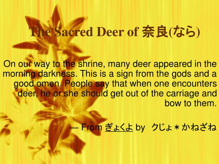 the sacred deer of