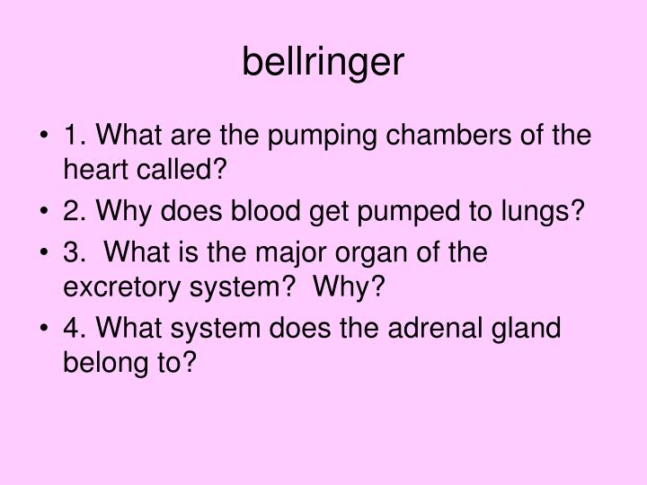 bellringer