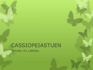 cassiopeiastuen