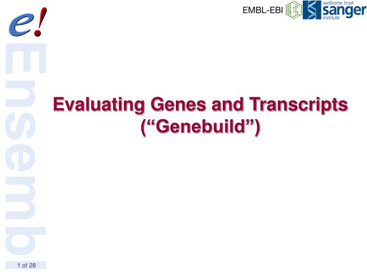evaluating genes and transcripts genebuild