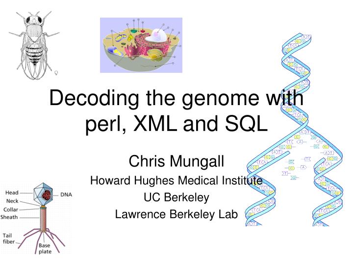 decoding the genome with perl xml and sql