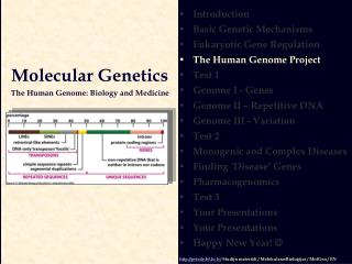 Introduction Basic Genetic Mechanisms Eukaryotic Gene Regulation The Human Genome Project Test 1