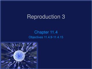 Reproduction 3