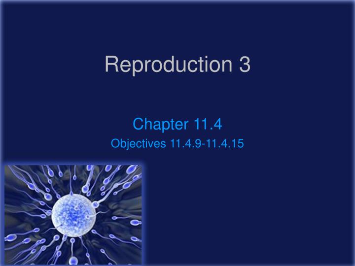 reproduction 3