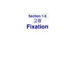 Section 1-3 고정 Fixation - slide 1
