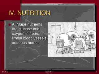 IV. NUTRITION