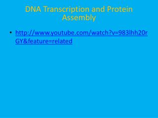 DNA Transcription and Protein Assembly