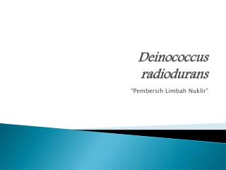 deinococcus radiodurans