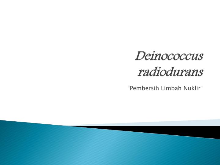 deinococcus radiodurans