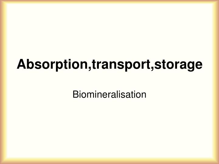 absorption transport storage