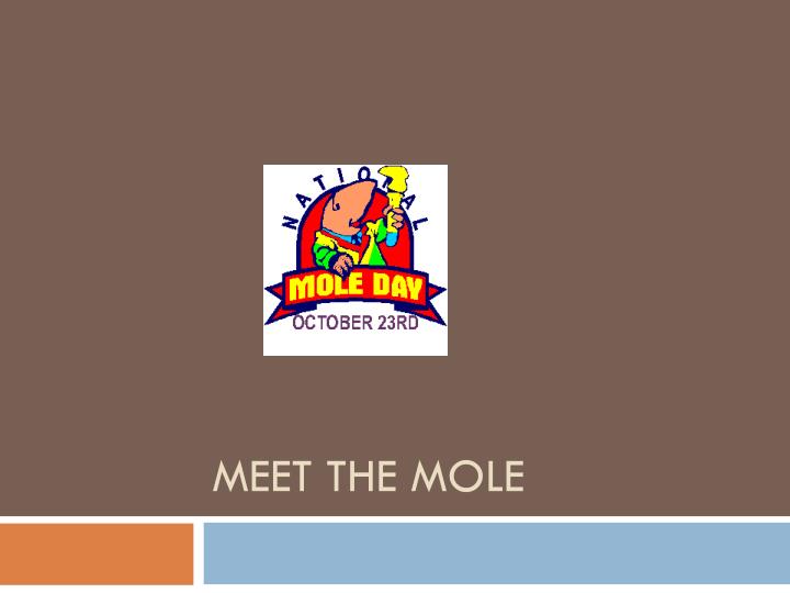 meet the mole