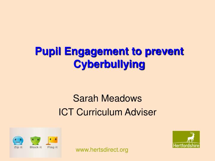 pupil engagement to prevent cyberbullying