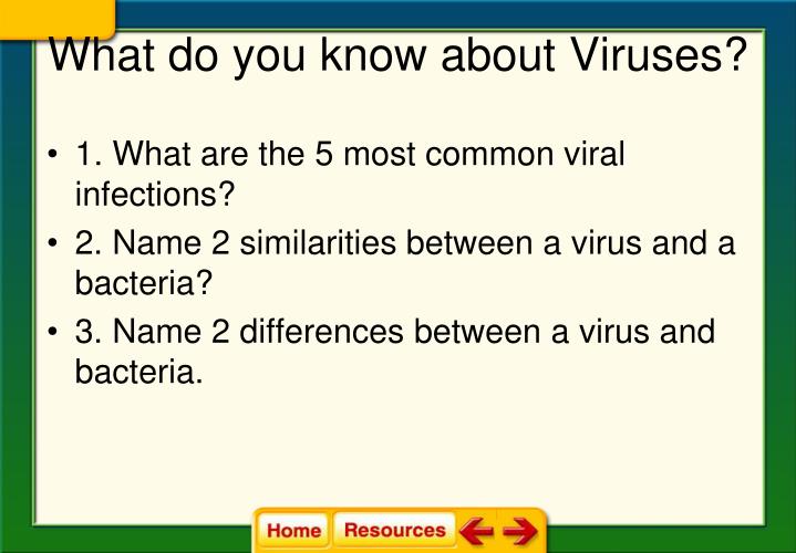 what do you know about viruses
