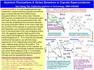 Quantum Fluctuations &amp; Vortex Dynamics in Cuprate Superconductor