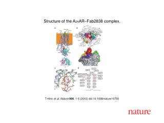 T Hino et al . Nature 000 , 1 - 5 (2012) doi:10.1038/nature 10750