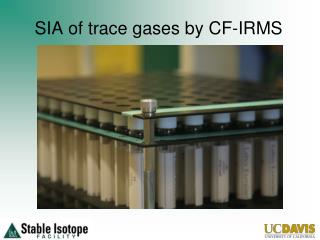 SIA of trace gases by CF- IRMS