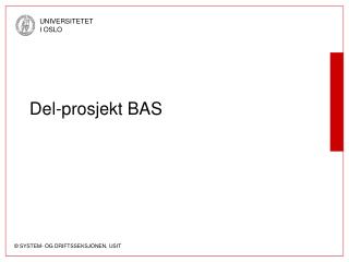 del prosjekt bas