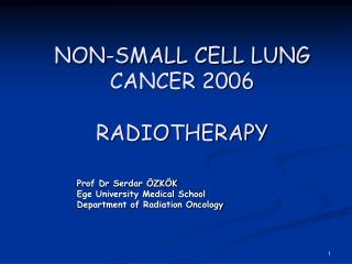NON-SMALL CELL LUNG CANCER 2006 RADIOTHERAPY