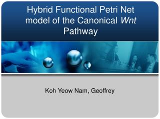 Hybrid Functional Petri Net model of the Canonical Wnt Pathway