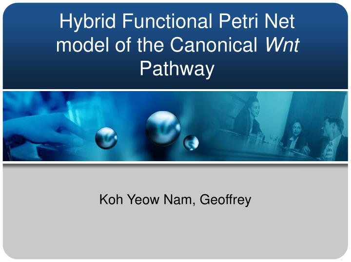 hybrid functional petri net model of the canonical wnt pathway