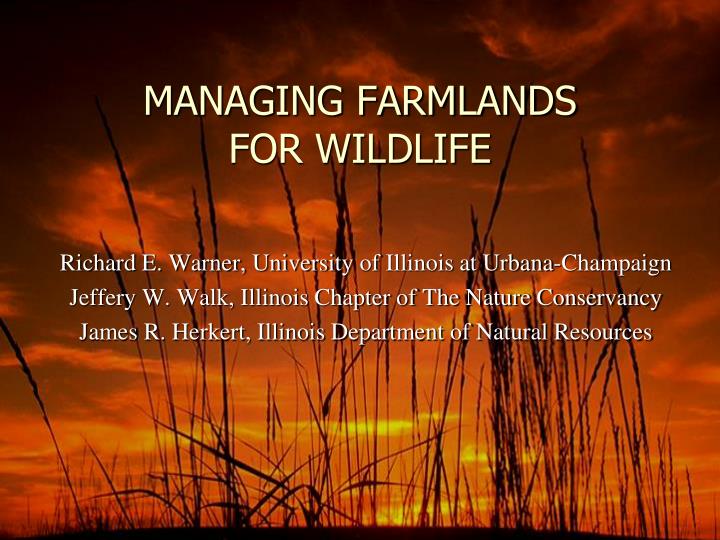 managing farmlands for wildlife