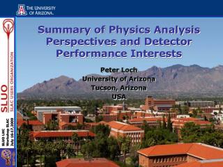 Summary of Physics Analysis Perspectives and Detector Performance Interests