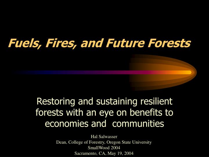 fuels fires and future forests