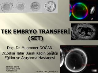 tek embryo transfer set