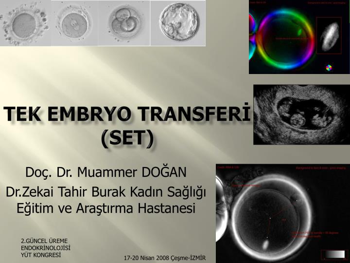 tek embryo transfer set