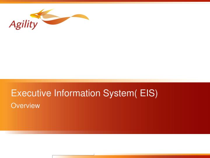 executive information system eis