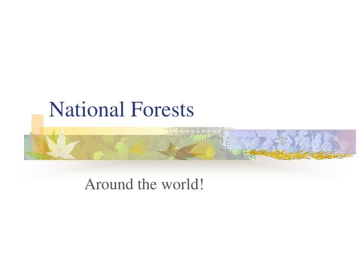 national forests