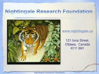 nightingale 121 Iona Street, Ottawa, Canada K1Y 3M1