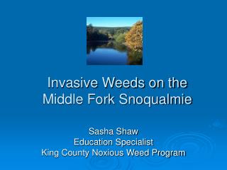 Invasive Weeds on the Middle Fork Snoqualmie