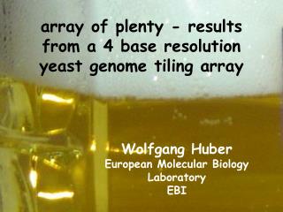 array of plenty - results from a 4 base resolution yeast genome tiling array