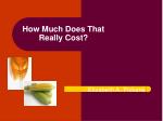 The Cost of Health: Impact of High Fructose Corn Syrup - slide 1